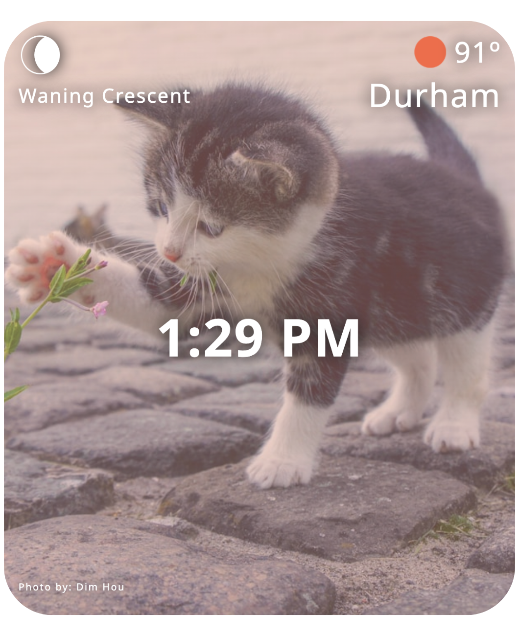 screenshot of travel journal